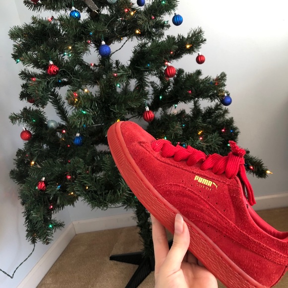 pumas - Picture 3 of 6